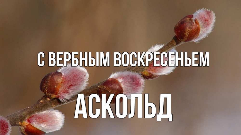 Открытка на каждый день с именем, Аскольд С вербным воскресеньем верба Прикольная открытка с пожеланием онлайн скачать бесплатно 