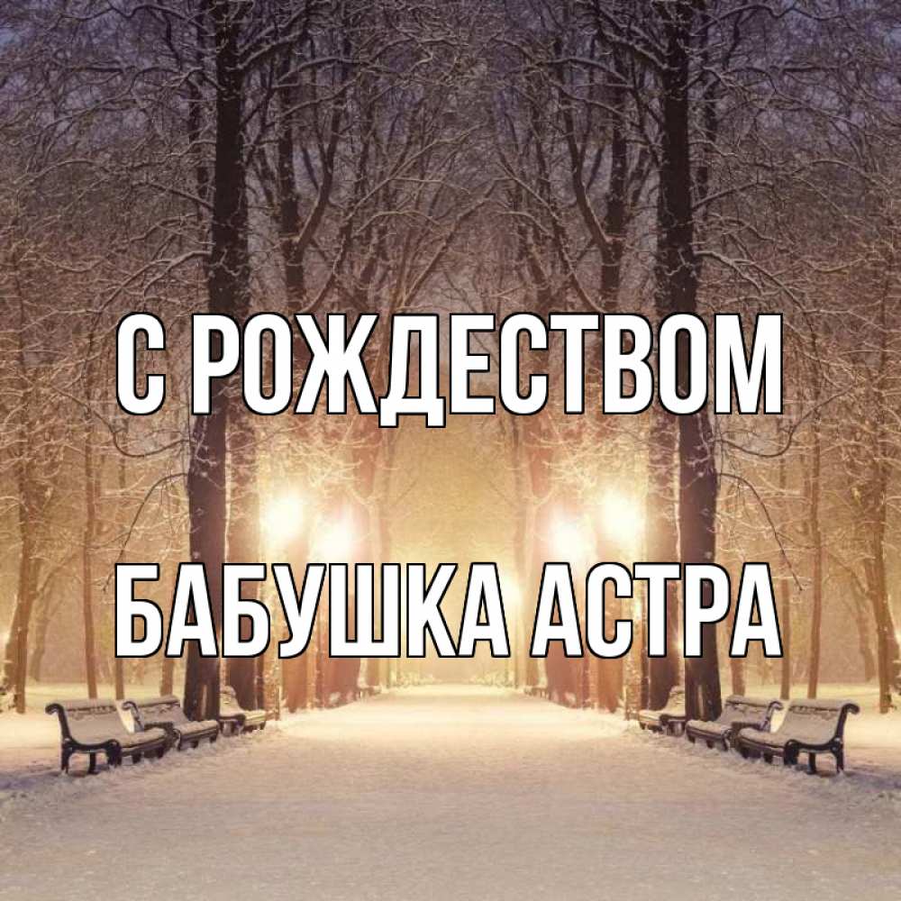 Открытка на каждый день с именем, Бабушка-Астра С рождеством зима, парк, фонарь, лес Прикольная открытка с пожеланием онлайн скачать бесплатно 