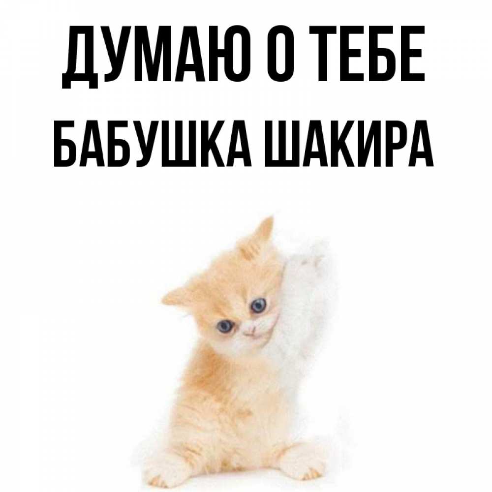 Открытка на каждый день с именем, Бабушка-Шакира Думаю о тебе зверушки и милота Прикольная открытка с пожеланием онлайн скачать бесплатно 