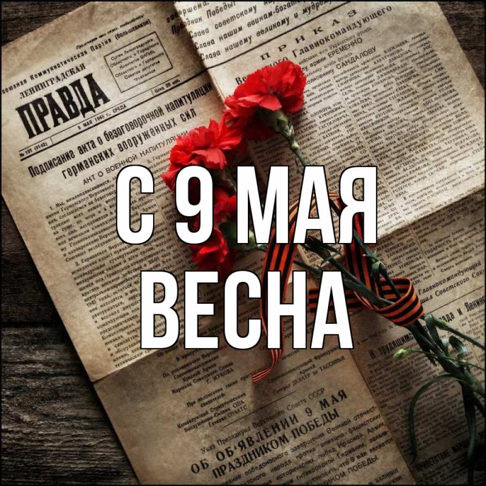 Открытка на каждый день с именем, Весна С 9 мая 9 мая Прикольная открытка с пожеланием онлайн скачать бесплатно 