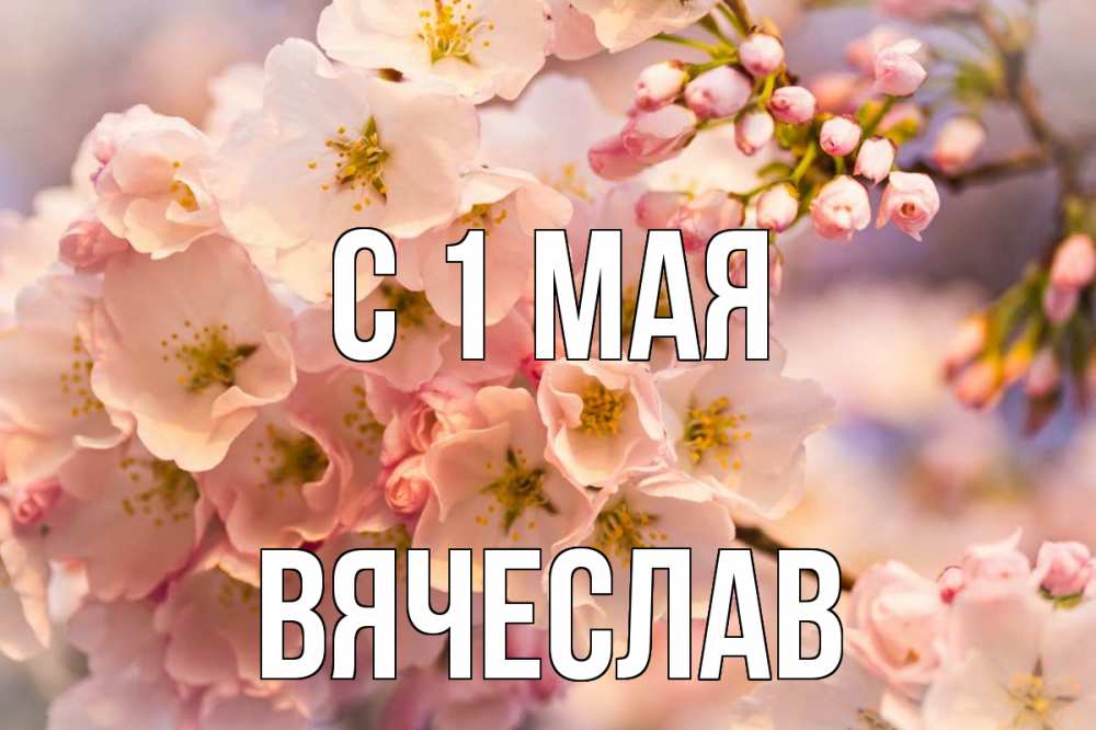 Открытка на каждый день с именем, Вячеслав С 1 мая С 1 мая Прикольная открытка с пожеланием онлайн скачать бесплатно 