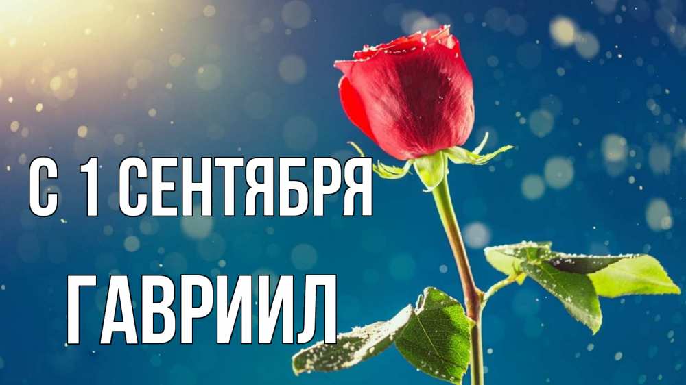 Открытка на каждый день с именем, Гавриил С 1 сентября с днем знаний Прикольная открытка с пожеланием онлайн скачать бесплатно 