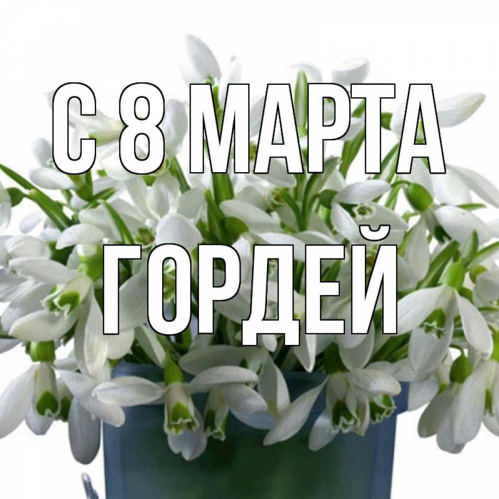 Картинка С 8 МАРТА, Гордей