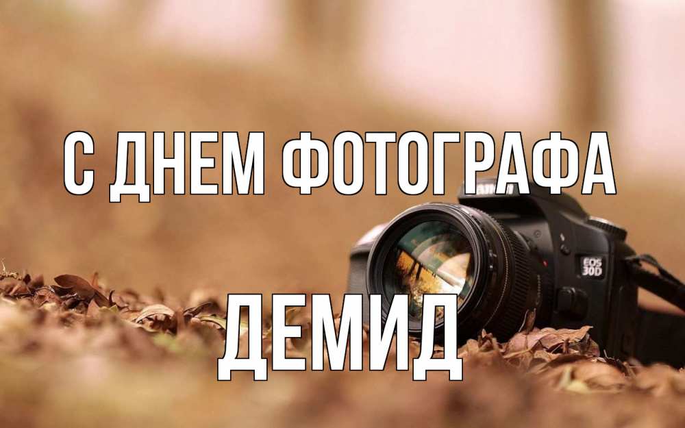 Открытка на каждый день с именем, Демид С днем фотографа с днем фотографа Прикольная открытка с пожеланием онлайн скачать бесплатно 