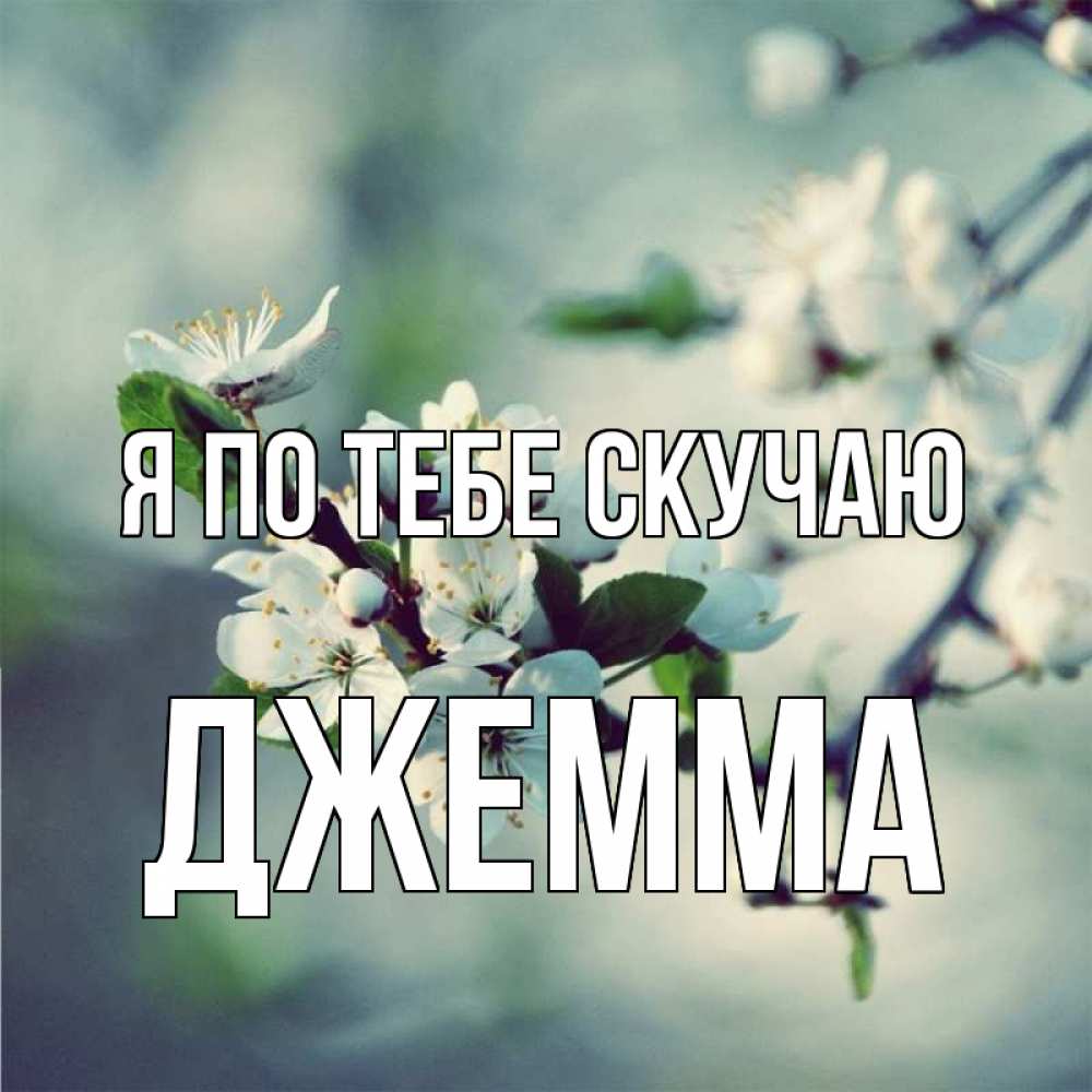 Открытка на каждый день с именем, Джемма Я по тебе скучаю весна Прикольная открытка с пожеланием онлайн скачать бесплатно 