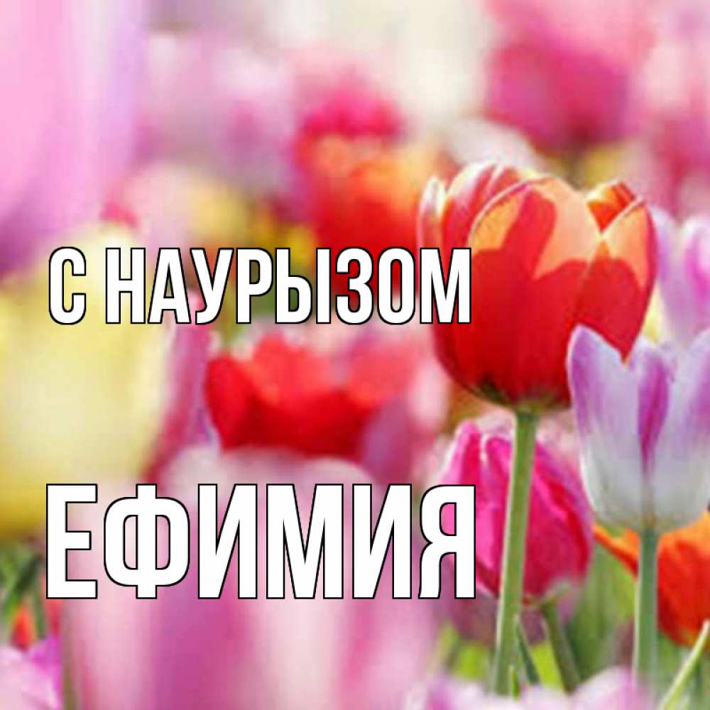 Открытка на каждый день с именем, Ефимия С наурызом праздник весны наурыз 67 Прикольная открытка с пожеланием онлайн скачать бесплатно 