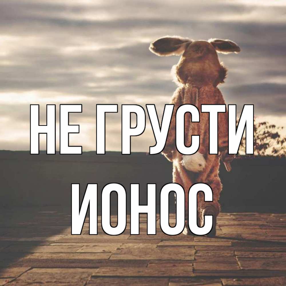 Открытка на каждый день с именем, Ионос Не грусти со спины Прикольная открытка с пожеланием онлайн скачать бесплатно 