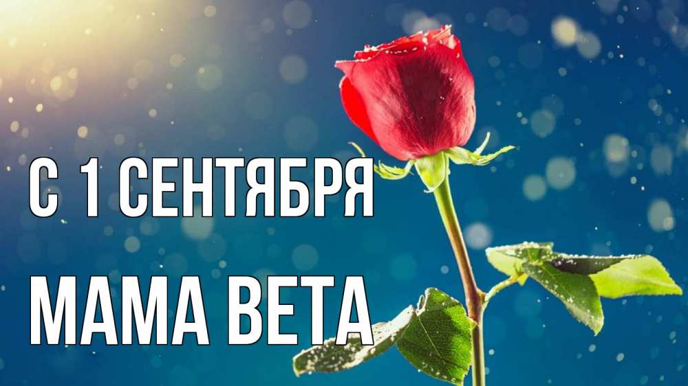 Открытка на каждый день с именем, Мама-Вета С 1 сентября с днем знаний Прикольная открытка с пожеланием онлайн скачать бесплатно 