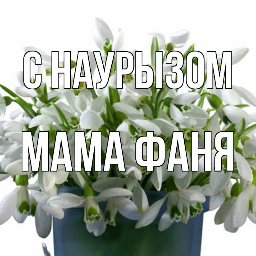 Открытка на каждый день с именем, Мама-Фаня С наурызом цветы к наурызу новый год в Казахстане Прикольная открытка с пожеланием онлайн скачать бесплатно 