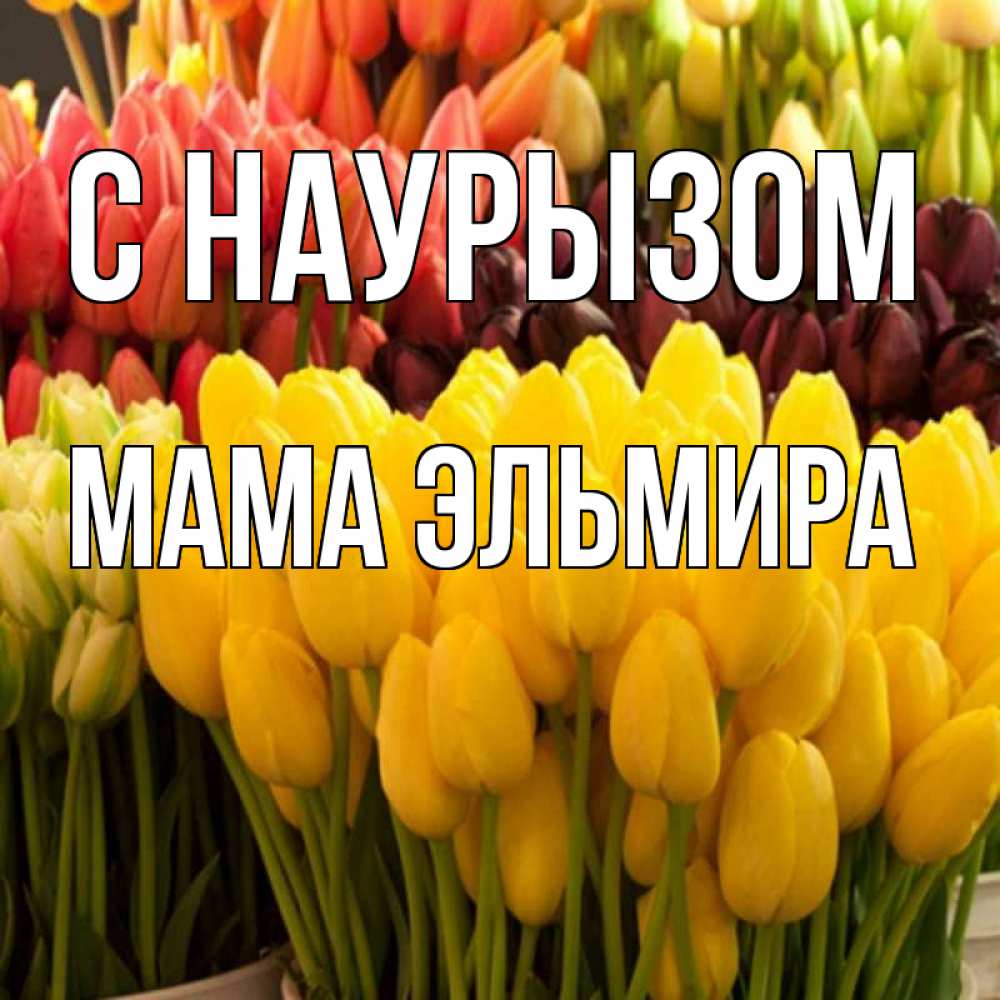 Открытка на каждый день с именем, Мама-Эльмира С наурызом цветы Прикольная открытка с пожеланием онлайн скачать бесплатно 