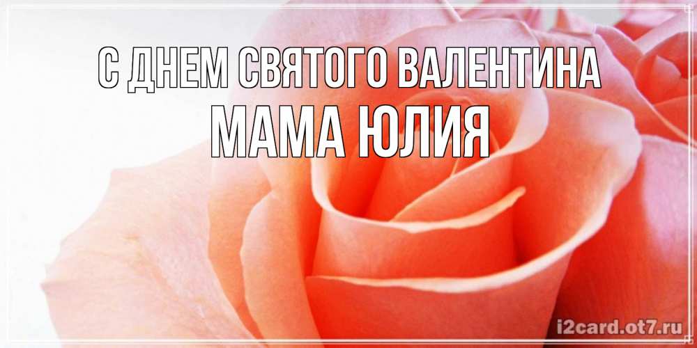 Открытка на каждый день с именем, Мама-Юлия С днем Святого Валентина открытка на день Святого Валентина с розовой розой Прикольная открытка с пожеланием онлайн скачать бесплатно 
