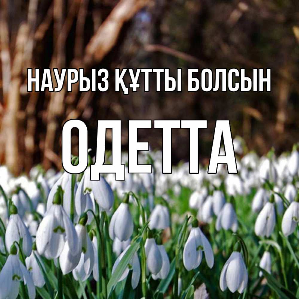 Открытка на каждый день с именем, Одетта Наурыз құтты болсын с подснежниками 1 Прикольная открытка с пожеланием онлайн скачать бесплатно 