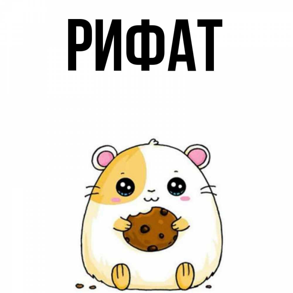 Открытка на каждый день с именем, Рифат Главная есть печеньку. Утречко Прикольная открытка с пожеланием онлайн скачать бесплатно 