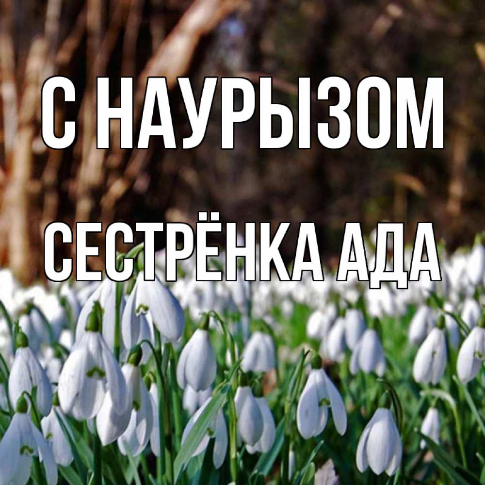Открытка на каждый день с именем, Сестрёнка-Ада С наурызом с подснежниками 1 Прикольная открытка с пожеланием онлайн скачать бесплатно 