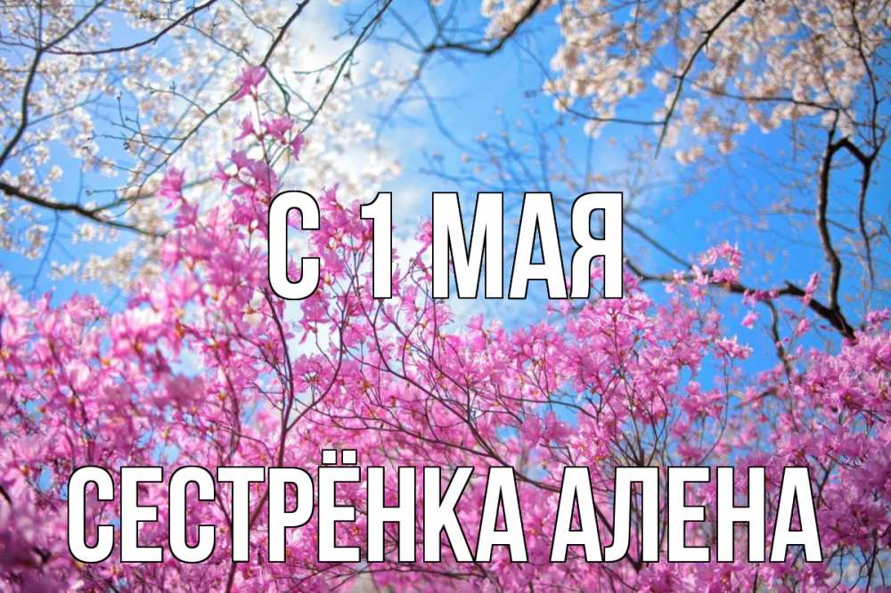 Открытка на каждый день с именем, Сестрёнка-Алена С 1 мая С 1 мая Прикольная открытка с пожеланием онлайн скачать бесплатно 