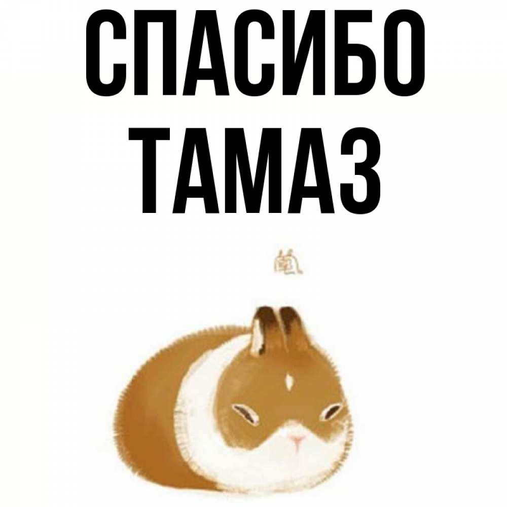Открытка на каждый день с именем, Тамаз Спасибо коричнево белый домашний питомец Прикольная открытка с пожеланием онлайн скачать бесплатно 