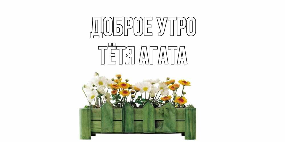 Открытка на каждый день с именем, Тётя-Агата Доброе утро цветы Прикольная открытка с пожеланием онлайн скачать бесплатно 