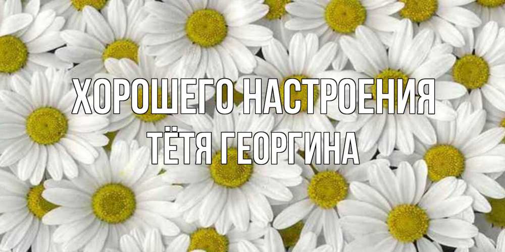 Открытка на каждый день с именем, Тётя-Георгина Хорошего настроения поляна ромашек Прикольная открытка с пожеланием онлайн скачать бесплатно 