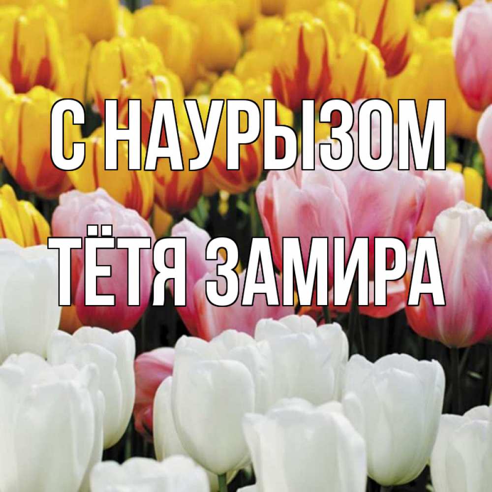 Открытка на каждый день с именем, Тётя-Замира С наурызом разноцветные цветы Прикольная открытка с пожеланием онлайн скачать бесплатно 