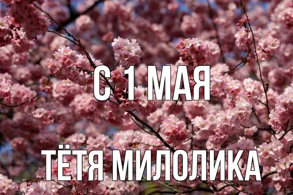 Открытка на каждый день с именем, Тётя-Милолика С 1 мая С 1 мая Прикольная открытка с пожеланием онлайн скачать бесплатно 
