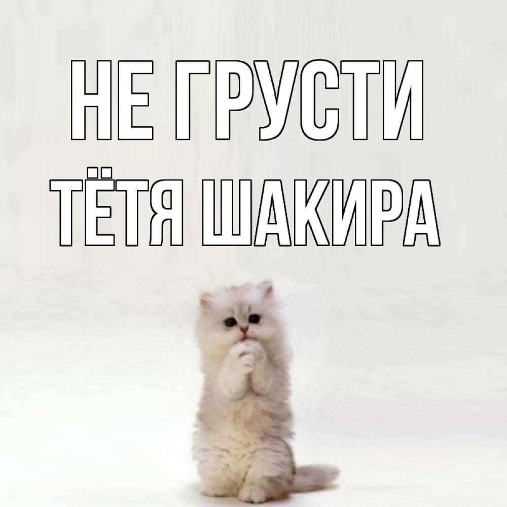 Открытка на каждый день с именем, Тётя-Шакира Не грусти грустный кот Прикольная открытка с пожеланием онлайн скачать бесплатно 