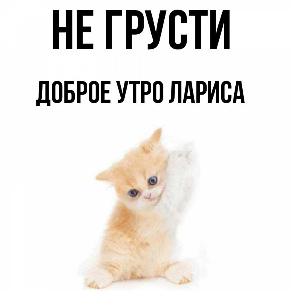 Доброе Утро Лариса Открытка