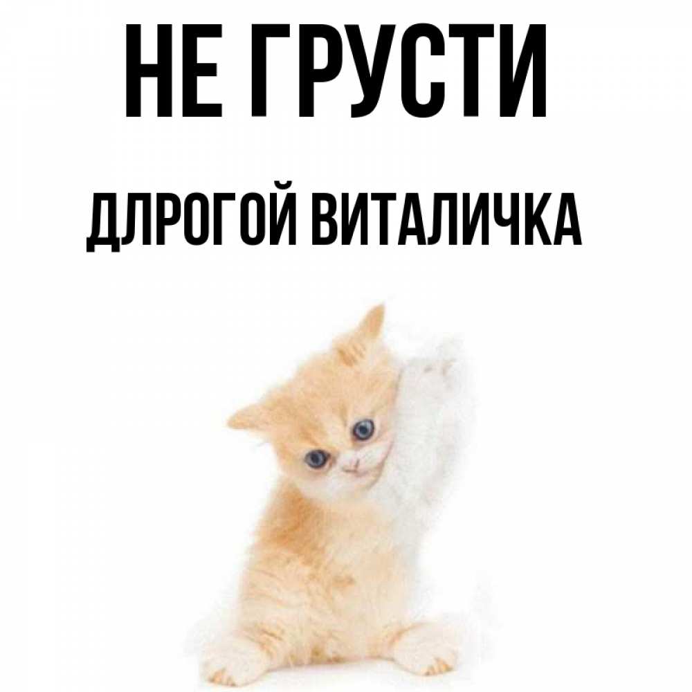 Виталичка