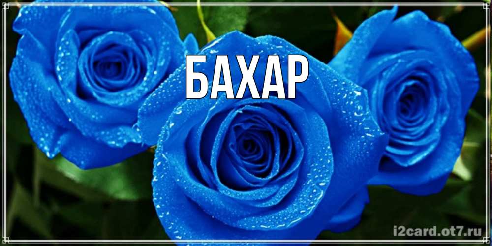 Картинка  с именем , Бахар