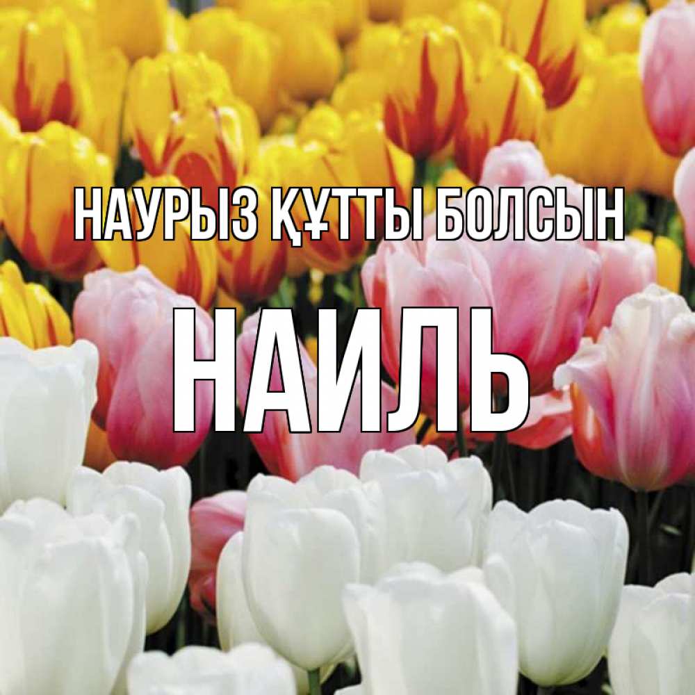 Открытка на каждый день с именем, Наиль Наурыз құтты болсын разноцветные цветы Прикольная открытка с пожеланием онлайн скачать бесплатно 