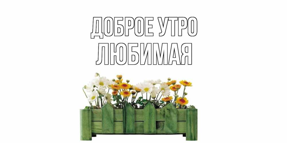 Открытка на каждый день с именем, Любимая Доброе утро цветы Прикольная открытка с пожеланием онлайн скачать бесплатно 