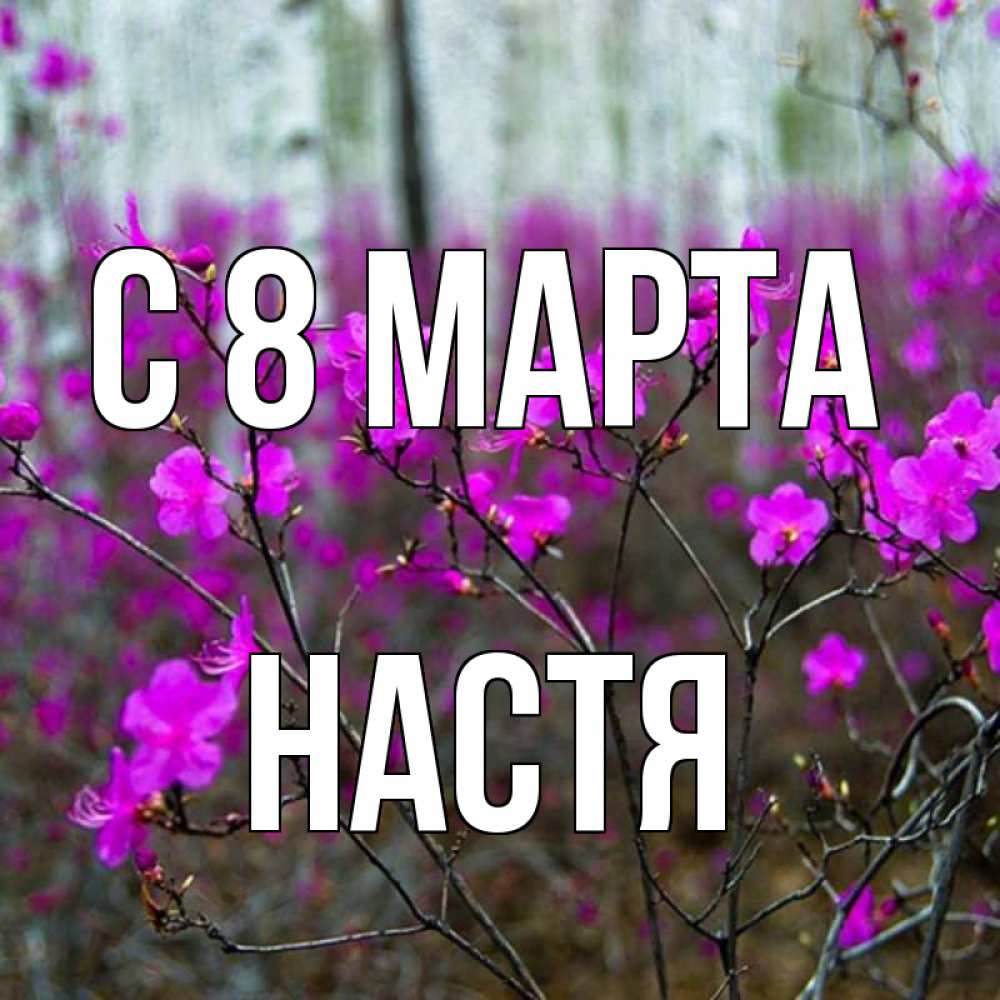 Открытка на каждый день с именем, Настя С 8 МАРТА дикие цветы Прикольная открытка с пожеланием онлайн скачать бесплатно 