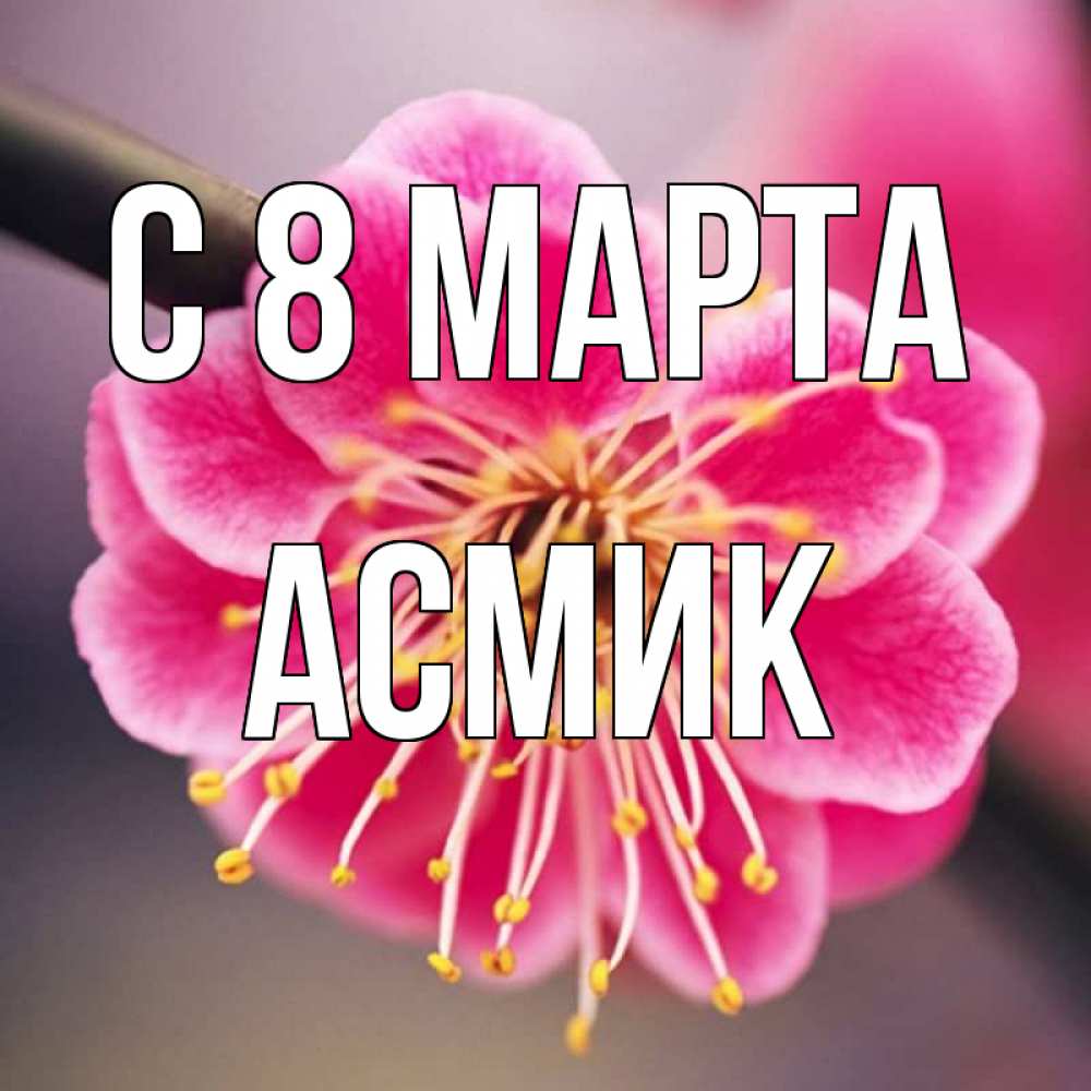 Картинка С 8 МАРТА, Асмик
