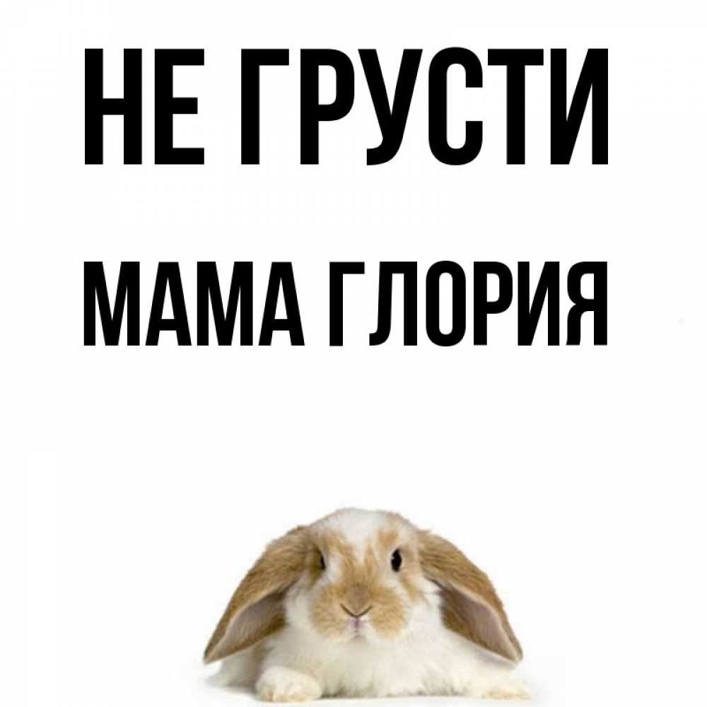 Открытка на каждый день с именем, Мама-Глория Не грусти коричнево белый заяц с большими ушками Прикольная открытка с пожеланием онлайн скачать бесплатно 