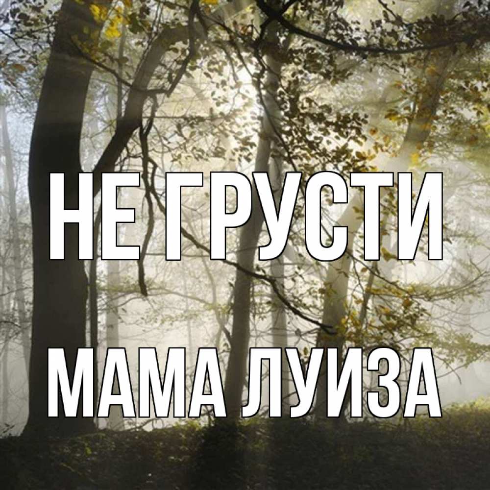 Открытка на каждый день с именем, Мама-Луиза Не грусти лес и свет Прикольная открытка с пожеланием онлайн скачать бесплатно 