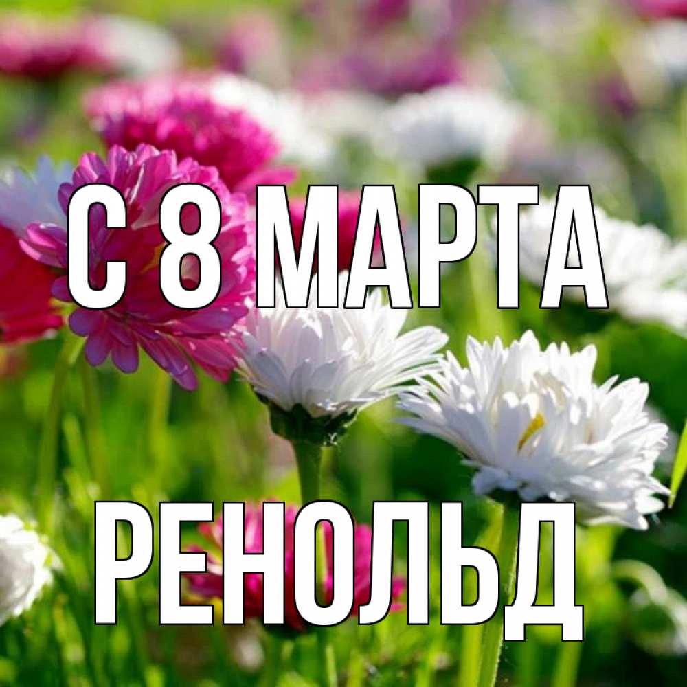 Открытка на каждый день с именем, Ренольд С 8 МАРТА международный женский день 1 Прикольная открытка с пожеланием онлайн скачать бесплатно 