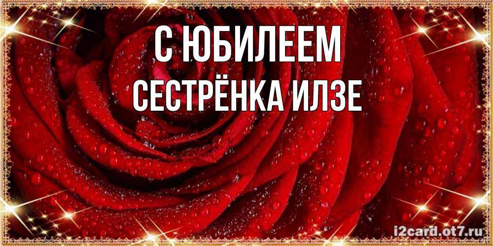 Открытка на каждый день с именем, Сестрёнка-Илзе С юбилеем роса на розе блестящая в лучах солнца Прикольная открытка с пожеланием онлайн скачать бесплатно 