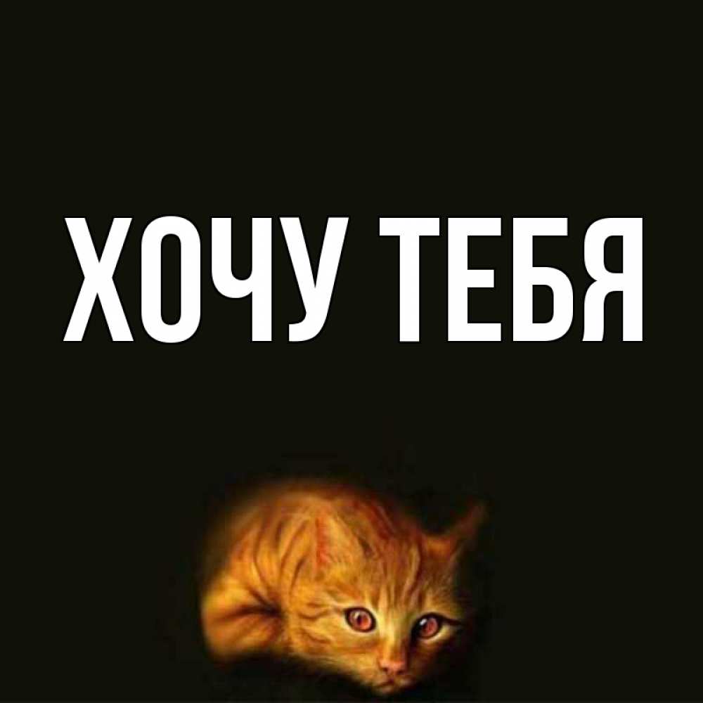 Открытка на каждый день с именем, Хочу-тебя Главная лежащий кот в темноте Прикольная открытка с пожеланием онлайн скачать бесплатно 