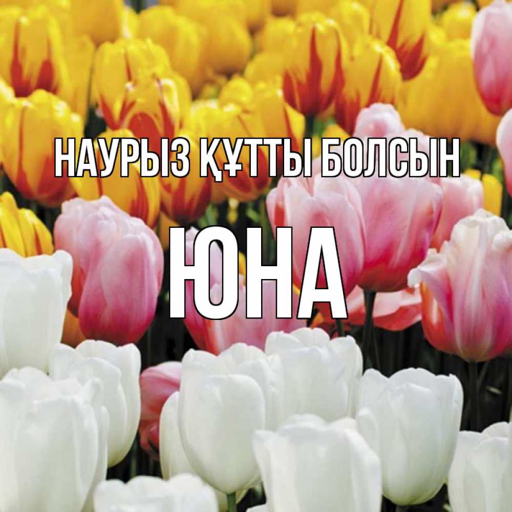 Открытка на каждый день с именем, Юна Наурыз құтты болсын разноцветные цветы Прикольная открытка с пожеланием онлайн скачать бесплатно 