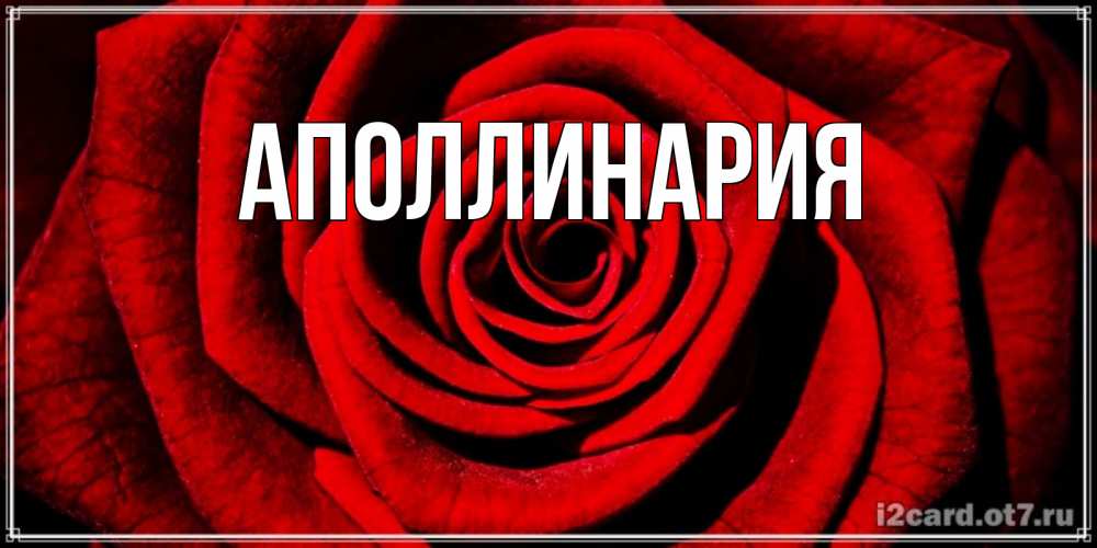 Открытка на каждый день с именем, Аполлинария Главная алая роза Прикольная открытка с пожеланием онлайн скачать бесплатно 