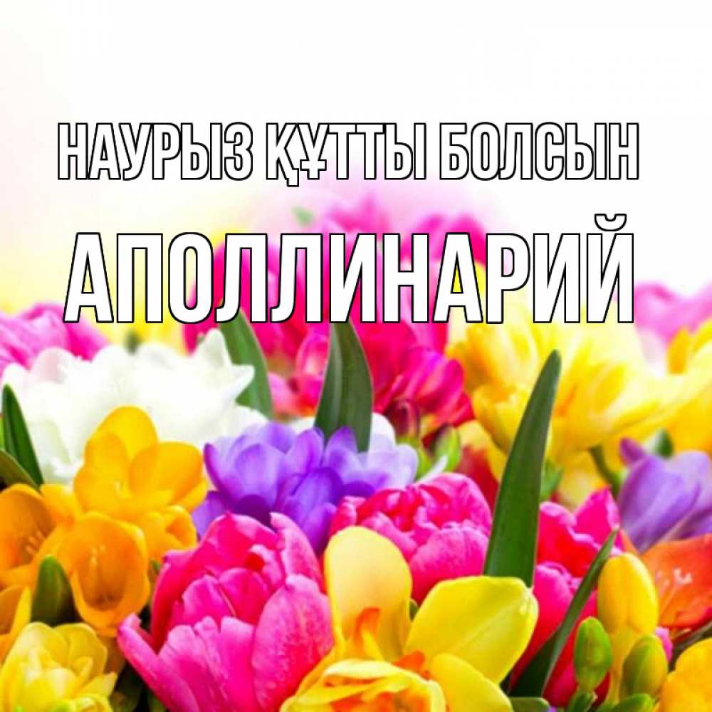 Открытка на каждый день с именем, Аполлинарий Наурыз құтты болсын тюльпаны Прикольная открытка с пожеланием онлайн скачать бесплатно 