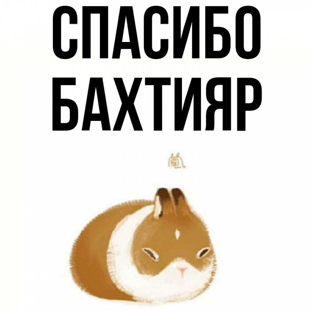 Бахтияр с днем рождения картинки