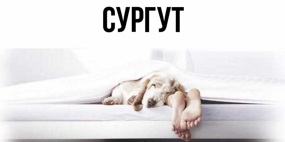 Спокойной ночи настя текст Спокойной ночи настя текст