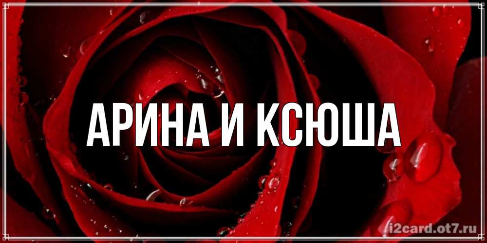 Открытка на каждый день с именем, Арина-и-Ксюша Главная крупная бордовая роза Прикольная открытка с пожеланием онлайн скачать бесплатно 