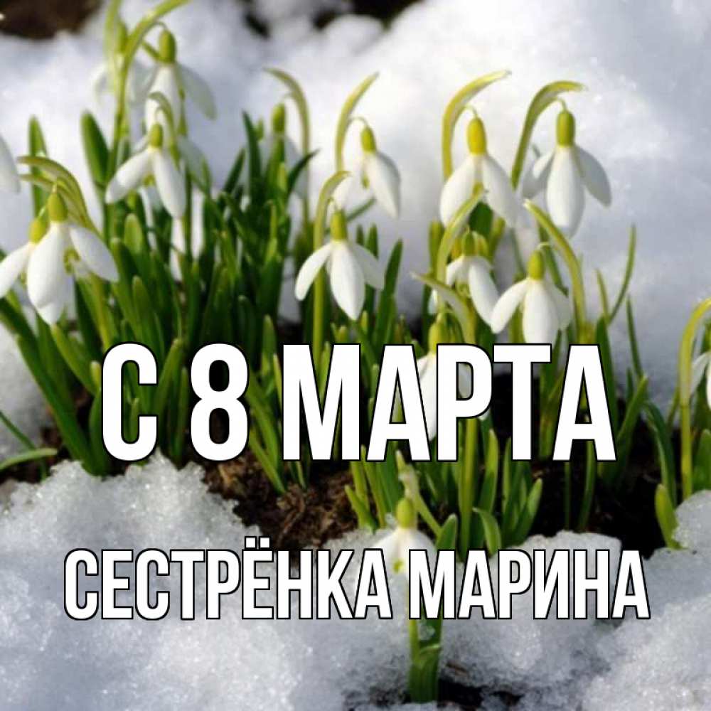 Открытка на каждый день с именем, Сестрёнка-Марина С 8 МАРТА цветы весенние Прикольная открытка с пожеланием онлайн скачать бесплатно 