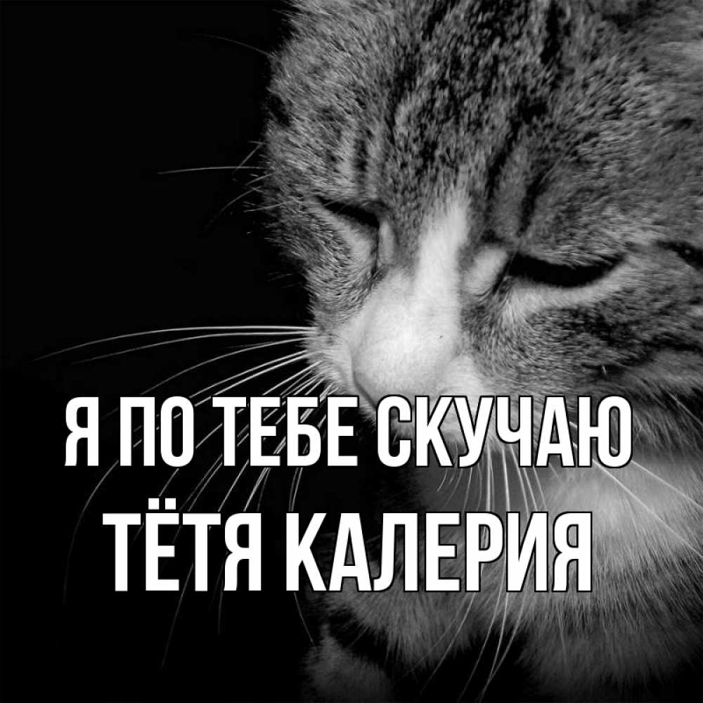 Открытка на каждый день с именем, Тётя-Калерия Я по тебе скучаю мне скучно Прикольная открытка с пожеланием онлайн скачать бесплатно 