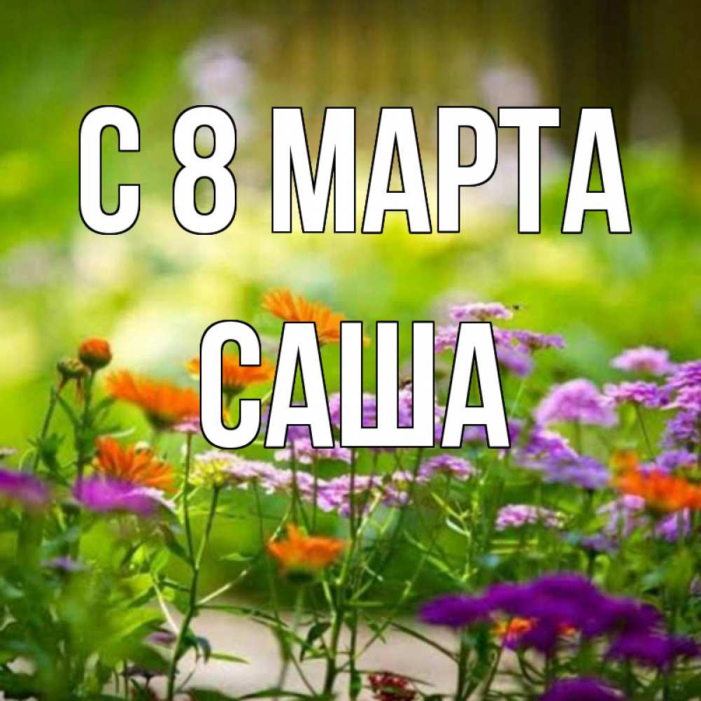 Открытка на каждый день с именем, Саша С 8 марта цветы Прикольная открытка с пожеланием онлайн скачать бесплатно 