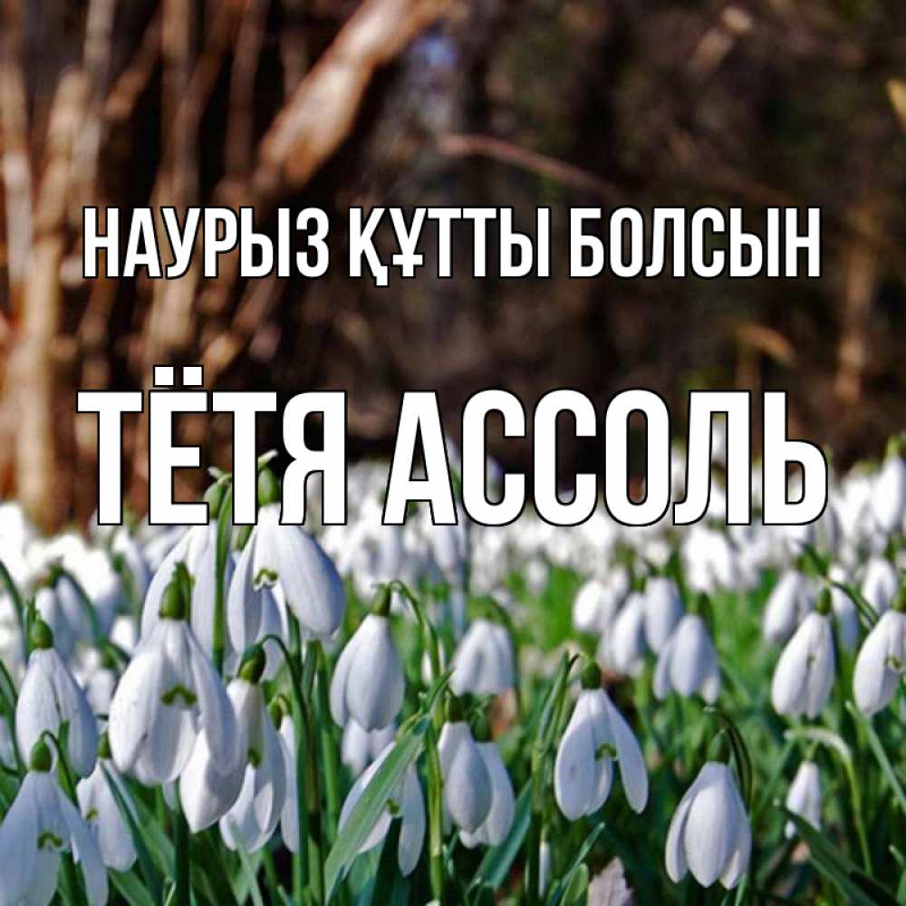 Открытка на каждый день с именем, Тётя-Ассоль Наурыз құтты болсын с подснежниками 1 Прикольная открытка с пожеланием онлайн скачать бесплатно 