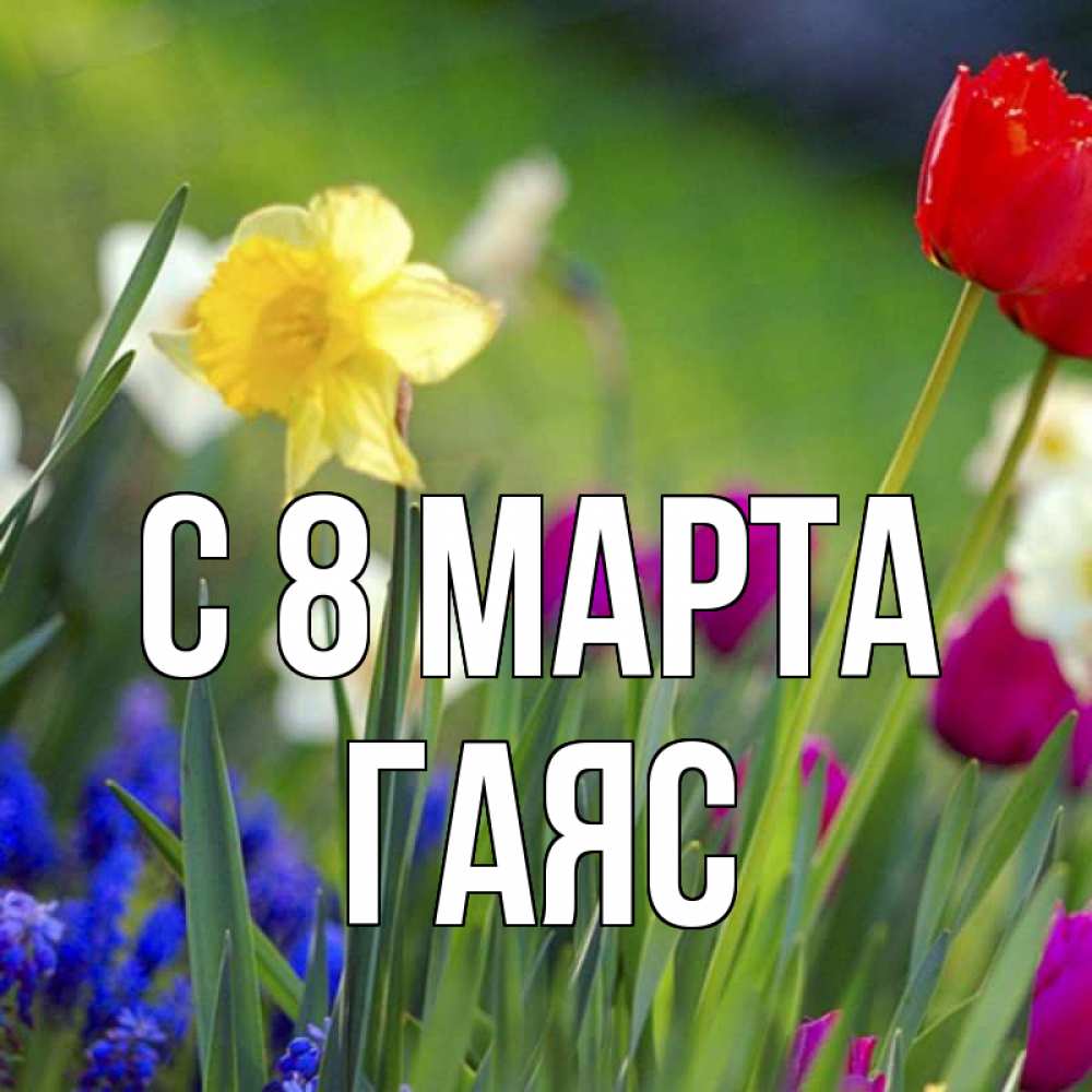 Открытка на каждый день с именем, Гаяс С 8 марта международный женский день 3 Прикольная открытка с пожеланием онлайн скачать бесплатно 