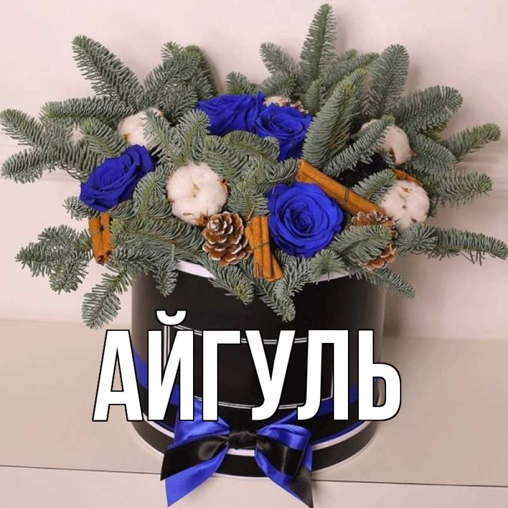 Открытка на каждый день с именем, Айгуль Главная короче кто то загрузил эти шишки Прикольная открытка с пожеланием онлайн скачать бесплатно 