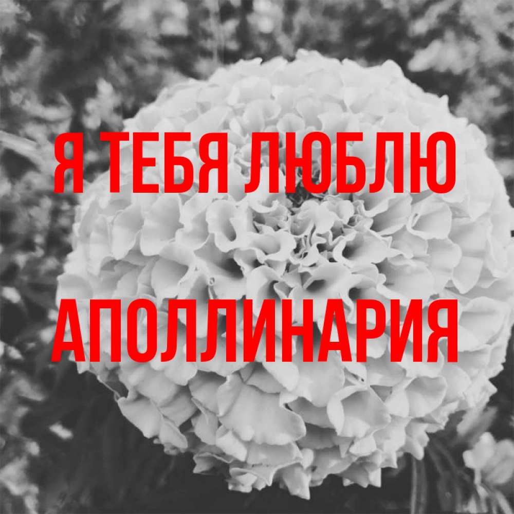 Открытка на каждый день с именем, Аполлинария Я тебя люблю подпись Прикольная открытка с пожеланием онлайн скачать бесплатно 